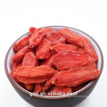 2018 certificate organic dried goji berry /wolfberry Chinese red goji berry on sale